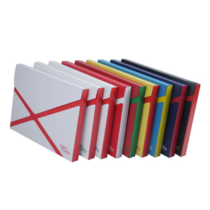 Patented Design Customized Eco Friendly A4 Plastic File Box XS26015
