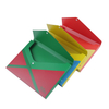 Patented Design Customized Eco Friendly A4 Plastic File Box XS26015