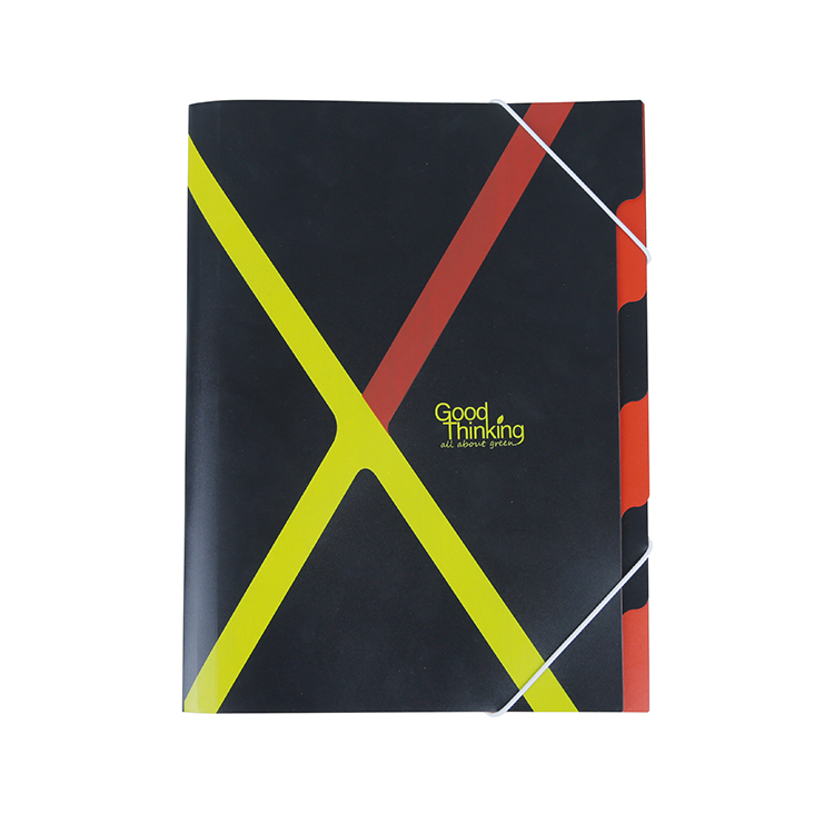 Eco New Paper Cardboard File Folder XS24035